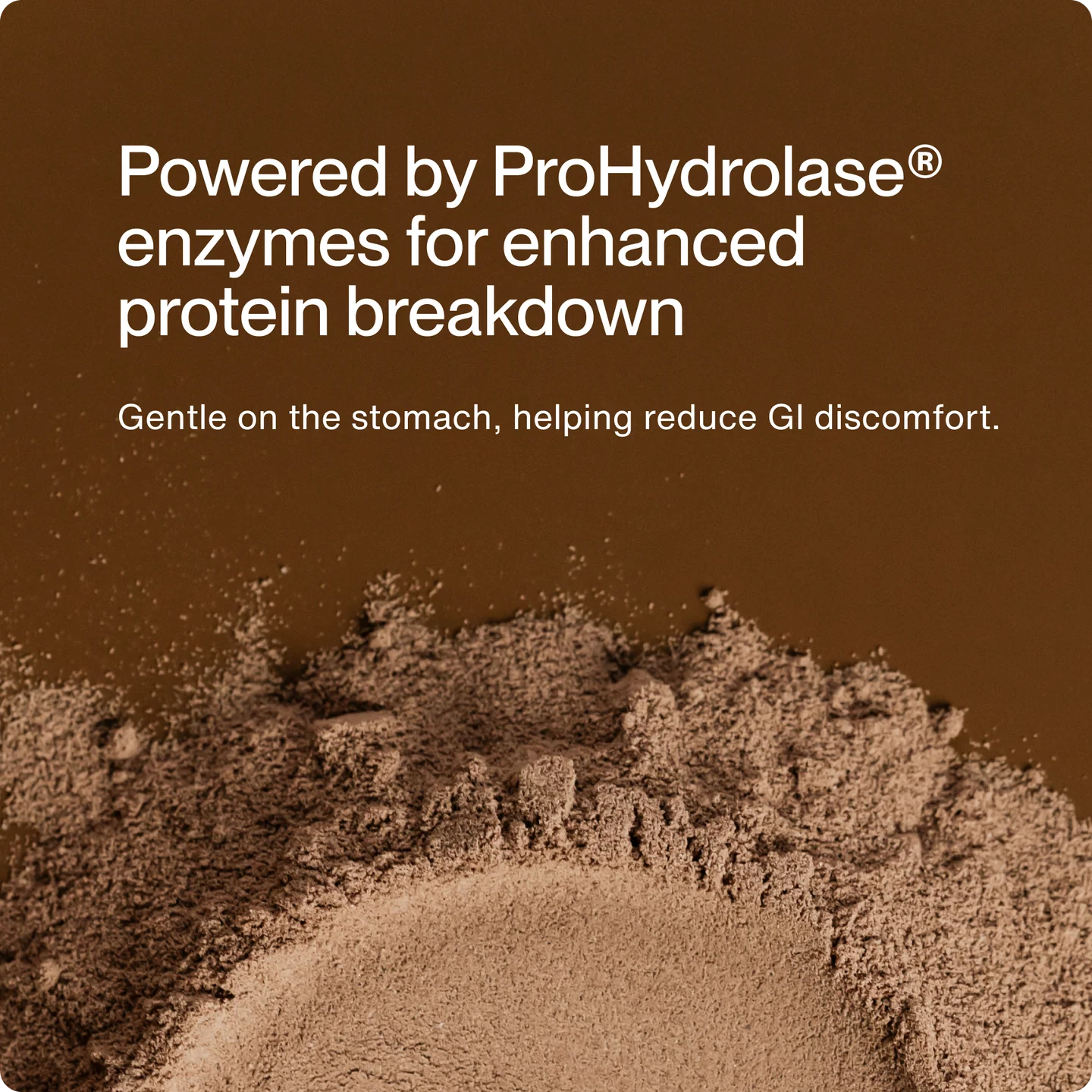 Grass-Fed Whey Protein Isolate Powder - Limited Edition Flavors